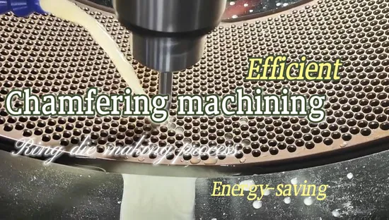 China Manual Model Chicken Feed Making Machine Animal Food Maker Birds Pellet Mill for Sale